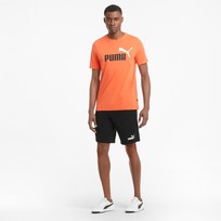 Шорты мужские Puma ESSENTIALS