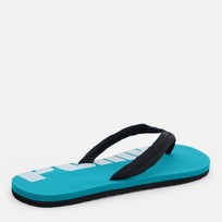 Сланцы мужские PUMA Epic Flip V2