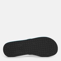 Сланцы мужские PUMA Epic Flip V2