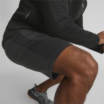 Шорты мужские Puma EVOSTRIPE