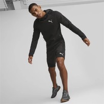 Шорты мужские Puma EVOSTRIPE