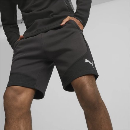 Шорты мужские Puma EVOSTRIPE