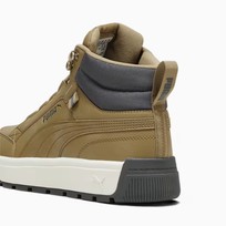 Ботинки мужские Puma Tarrenz SB 3