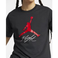 Футболка мужская Nike Jordan Jumpman