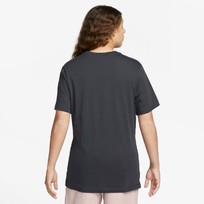 Футболка мужская Nike OC PK4 V2