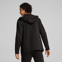 Худи мужское Puma EVOSTRIPE Full-Zip