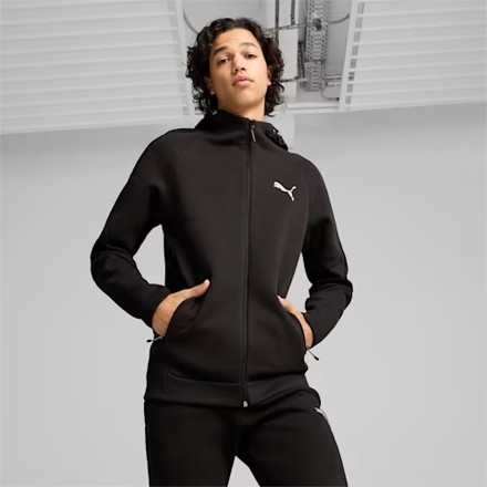 Худи мужское Puma EVOSTRIPE Full-Zip