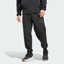 Брюки мужские Adidas Z.N.E.