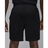 Шорты мужские Nike Air Jordan Dri-Fit Sport