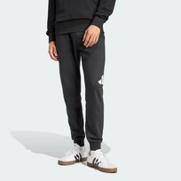 Брюки мужские Adidas ESSENTIALS BIG LOGO