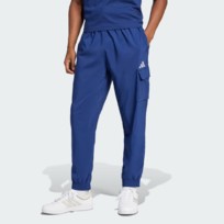 Брюки мужские Adidas ESSENTIALS SMALL LOGO CARGO