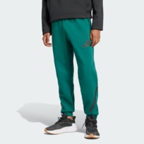 Брюки мужские Adidas Z.N.E.