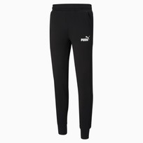 Брюки мужские Puma Essentials Slim
