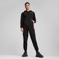 Худи мужское Puma BMW M Motorsport
