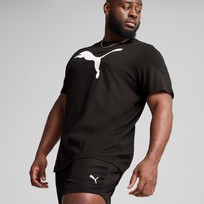 Шорты мужские Puma Essentials