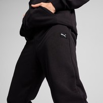 Костюм спортивный мужской Puma Hooded Sweat Suit