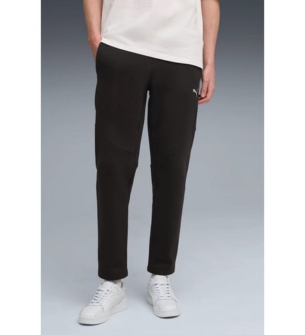 Спортивные брюки PUMA EVOSTRIPE Warm Pants