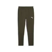 Штаны Puma Evostripe