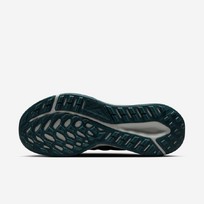 Nike Juniper Trail 2